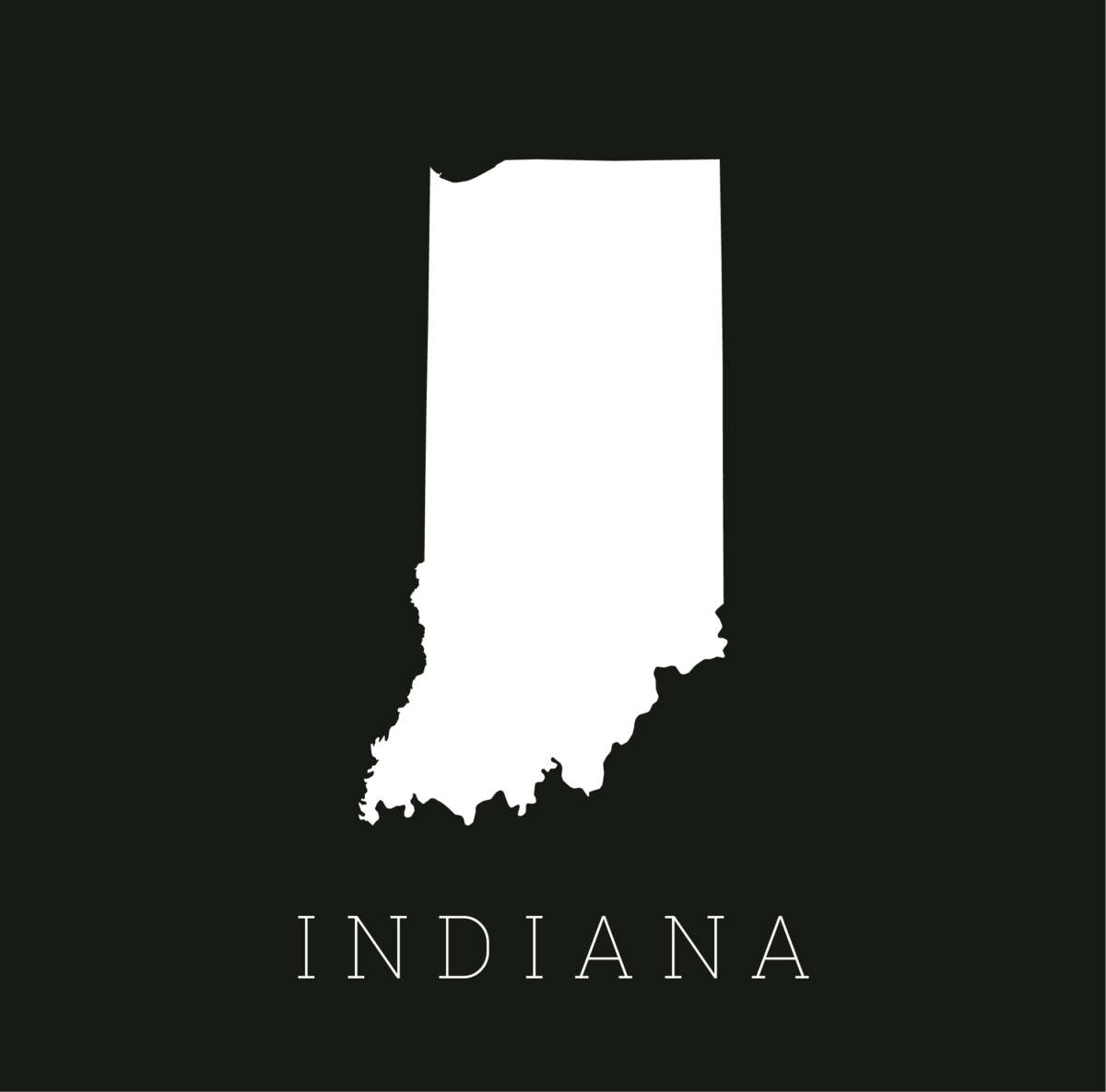 INDIANA 500X500ill